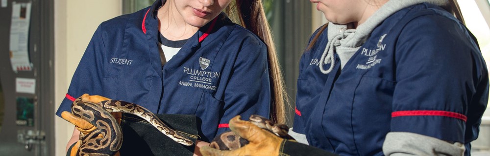 Agriculture, Horticulture and Animal Care