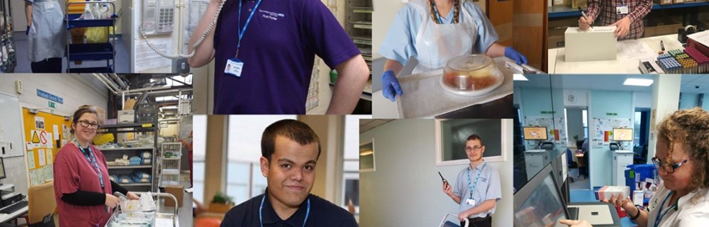 Health, Public Services and Care